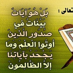 ابراهيم العسيري