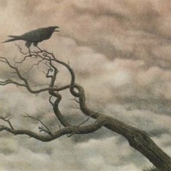 Careuno - cascadas de cal (zmeu)