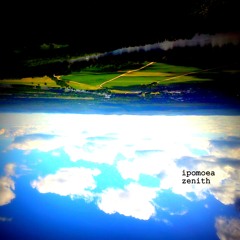 Zenith Demo