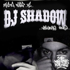 Mista WARZ - Mista WARZ Vs. DJ Shadow Megamix