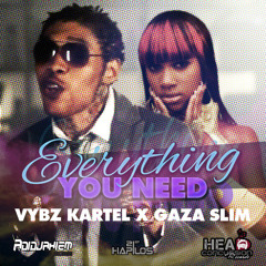 Vybz Kartel Ft. Gaza Slim - Everything You Need (Single) Nov 2012