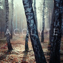 Acolyte October Mix