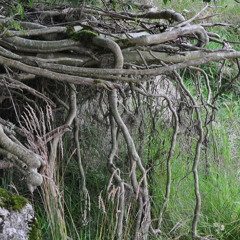 The Riders - Film Score Sample (extended version)