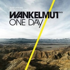 Asaf Avidan & The Mojos - One Day Reckoning Song (Wankelmut Remix) (FreakyKutzz Dirty Bootleg)