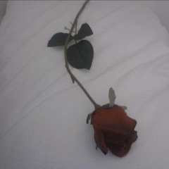 Like a rose