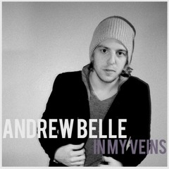 Andrew Belle - In My Veins (ft Katie Herzig)