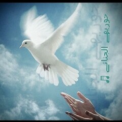 sen benden gittin ♩~