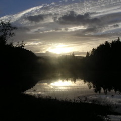 The need for Space - Some 2 go soon, but hard to let them go...