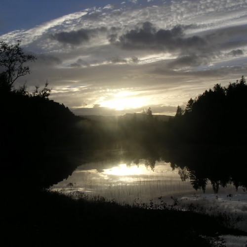 The need for Space - Some 2 go soon, but hard to let them go...