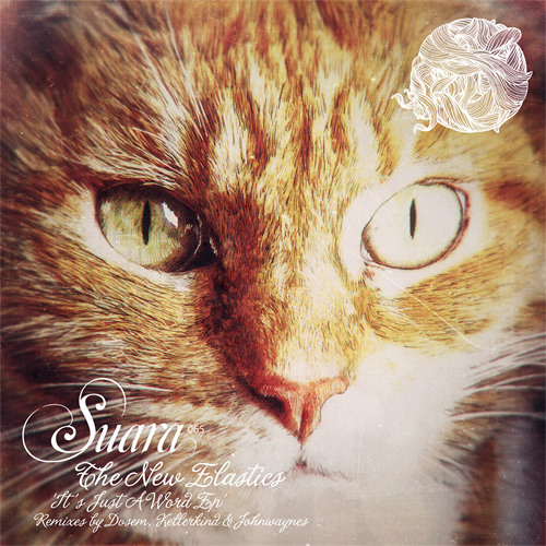 Suara