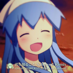 君を知ること (Salktwod Remix)