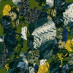 Nearly Broke Your Heart