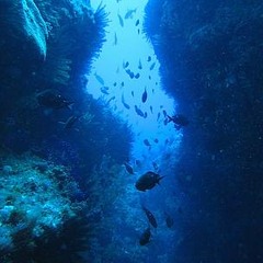 Elwood - Trenchcast 01:  Kermadec