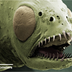 OTAKO_BEATDOWN_CLIP (JSD 001)