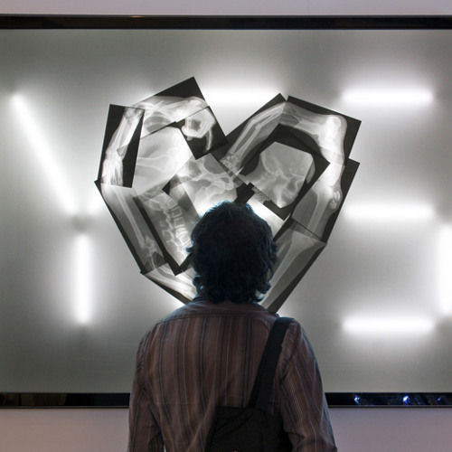 4U ft Libs & Tree Woods