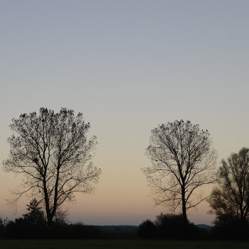 "Il n'y a pas d'amour heureux" by G.Brassens/L.Aragon - S.Kult & F.Hiemenz