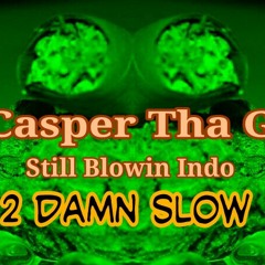 Ray Luv - Still Smokin Indo - 2 Damn Slow  By Casper Tha G at Wichita, Ks