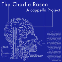 Fly Me to the Moon (A Cappella) - Charlie Rosen