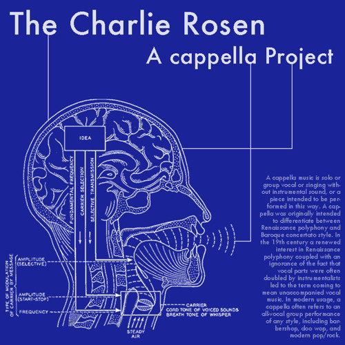 Stream Fly Me to the Moon (A Cappella) - Charlie Rosen by Charlie Rosen |  Listen online for free on SoundCloud