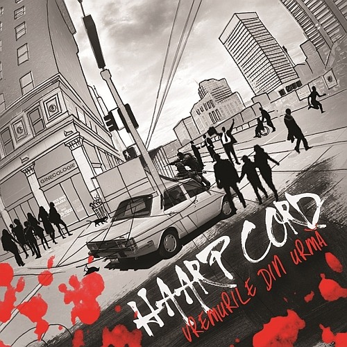 Haarp Cord - Un singur gand