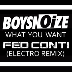 Boys Noize - What You Want (Fed Conti Electro Remix) [www.fedconti.com]