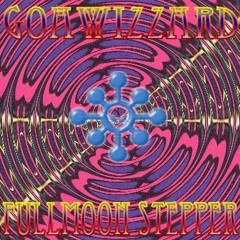 Goawizzard - Fullmoon Stepper
