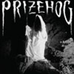 Prizehog - "Aykranoid"