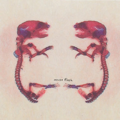 mouse flesh (single mix)