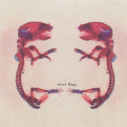 mouse flesh (single mix)