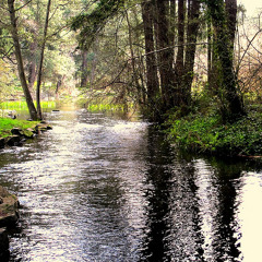 Test the water (feat. Anthony Philips)