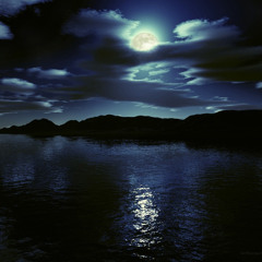 လိုက်ဖက်တဲ့ဘဝ