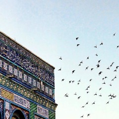 فتنت روحي يا شهيد ~