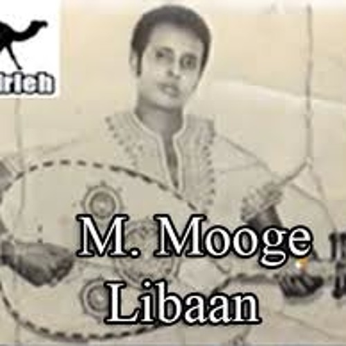 Saynlaha libax M.Mooge. by ilyas