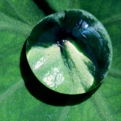 Mishka beats - Until we bleed