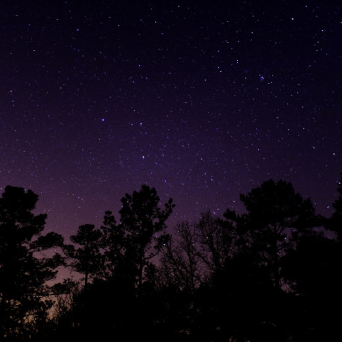 James Lippy - Starlight