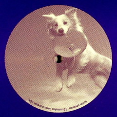 Bottin presents: SPEED