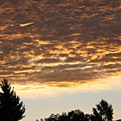 Another Day, Another Chance...