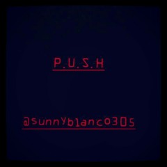 Sunny Blanco - P.U.S.H