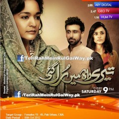 Teri Rah Mein Rul Gai Way