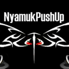 NyamukPushUp - Nicky Minaj Ft Chris Brown Ft Jay Z Ft Eminem Ft Linkin Park [REMIX]