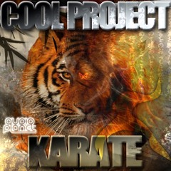 Cool Project - Karate (Split & Jaxta Rmx)