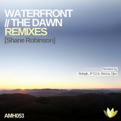 Shane Robinson - Waterfront (Biologik Remix)