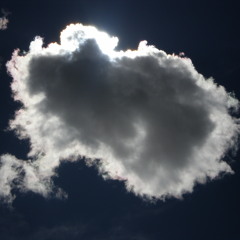 04 Heavy Petting in the Great Outdoors