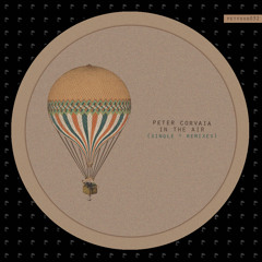 Peter Corvaia - In The Air (Rhode & Brown Remix) [petFood Records]