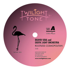 A1 DEAVID SOUL & EXOTIC LIGHT ORCHESTRA - ROOTLESS COSMOPOLITAN