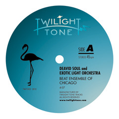 A1 DEAVID SOUL & EXOTIC LIGHT ORCHESTRA - BEAT ENSEMBLE OF CHICAGO