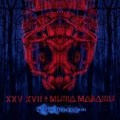 25/17, Миша Маваши - Мы сами заслужили это