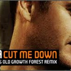 Sasha - Cut Me Down (Zebs 'Magic' Bootleg)