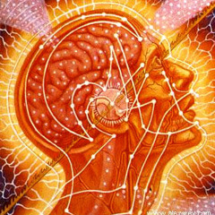 Ju^2 - Set - Oct2012 -Visionary Arts Festival with AlexGrey - (Progressive Psy)