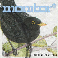 Monitor 66 - Ambient Blackbird [Free Download]